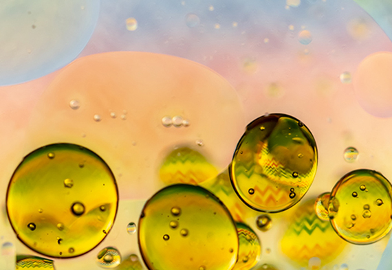 bbin·宝盈(中国集团)官方网站